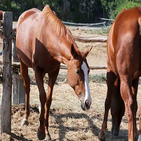 Alojamento de Turismo Rural Agriturismo Birrificio Orsini *