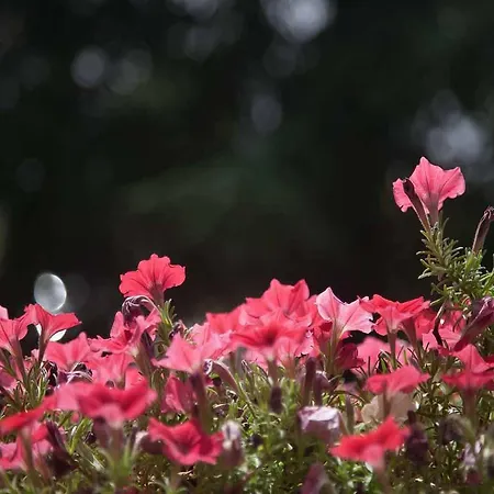 Agriturismo Birrificio Orsini