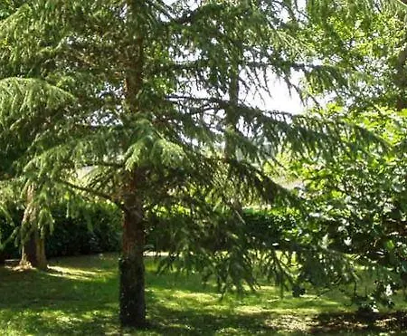 Agriturismo Birrificio Orsini Alojamento de Turismo Rural Massa Martana