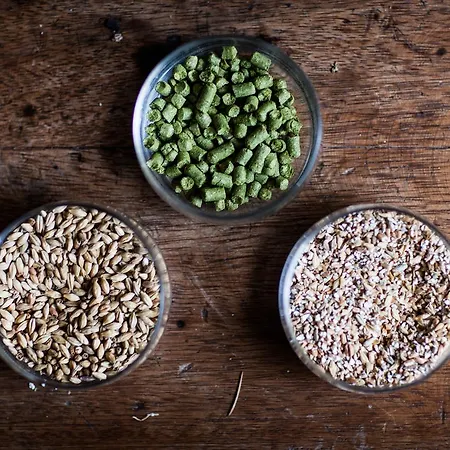 Alojamento de Turismo Rural Agriturismo Birrificio Orsini *