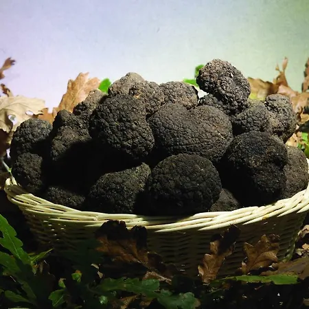 Agriturismo Birrificio Orsini * מסה מרטאנה