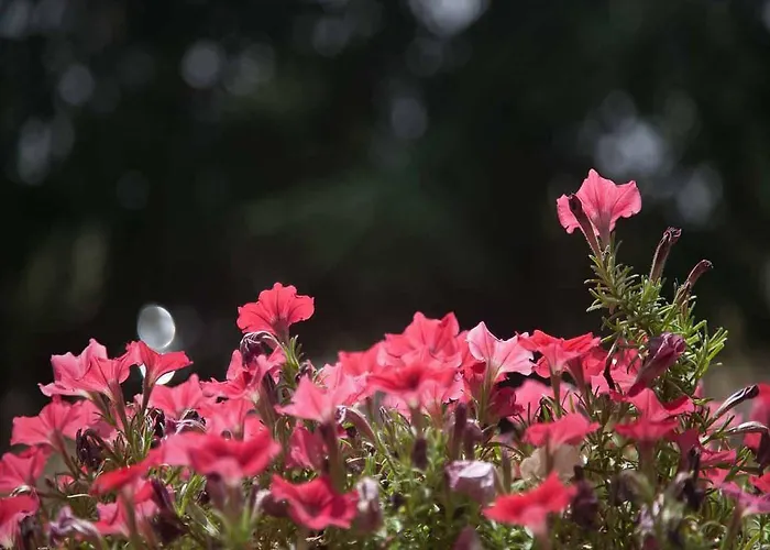 Agriturismo Birrificio Orsini