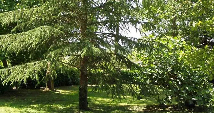 Agriturismo Birrificio Orsini ファームステイ マッサ・マルターナ