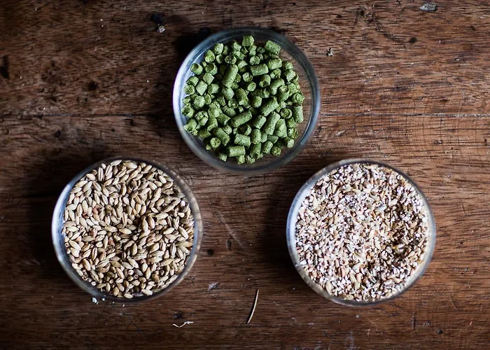 ファームステイ Agriturismo Birrificio Orsini *