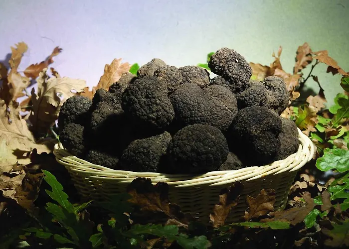 Agriturismo Birrificio Orsini * マッサ・マルターナ